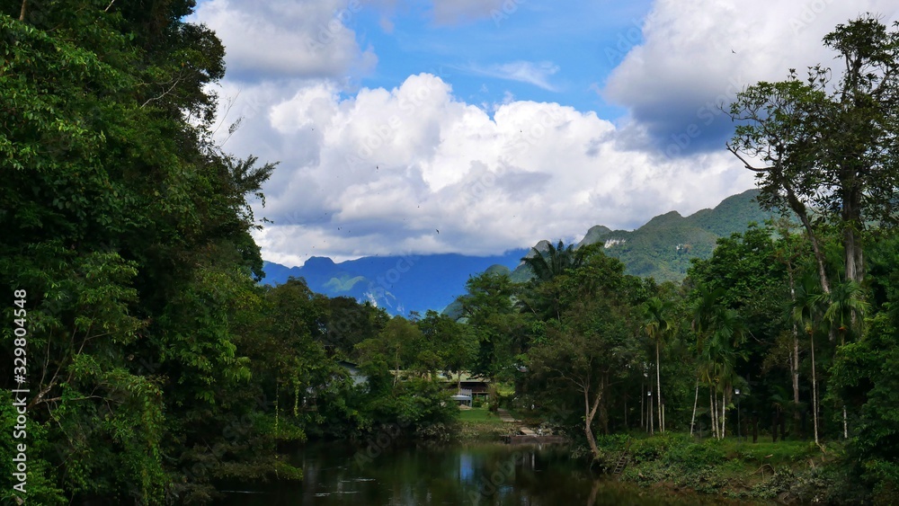 View from a bridge to Gunung Mulu Nationalpark, Borneo