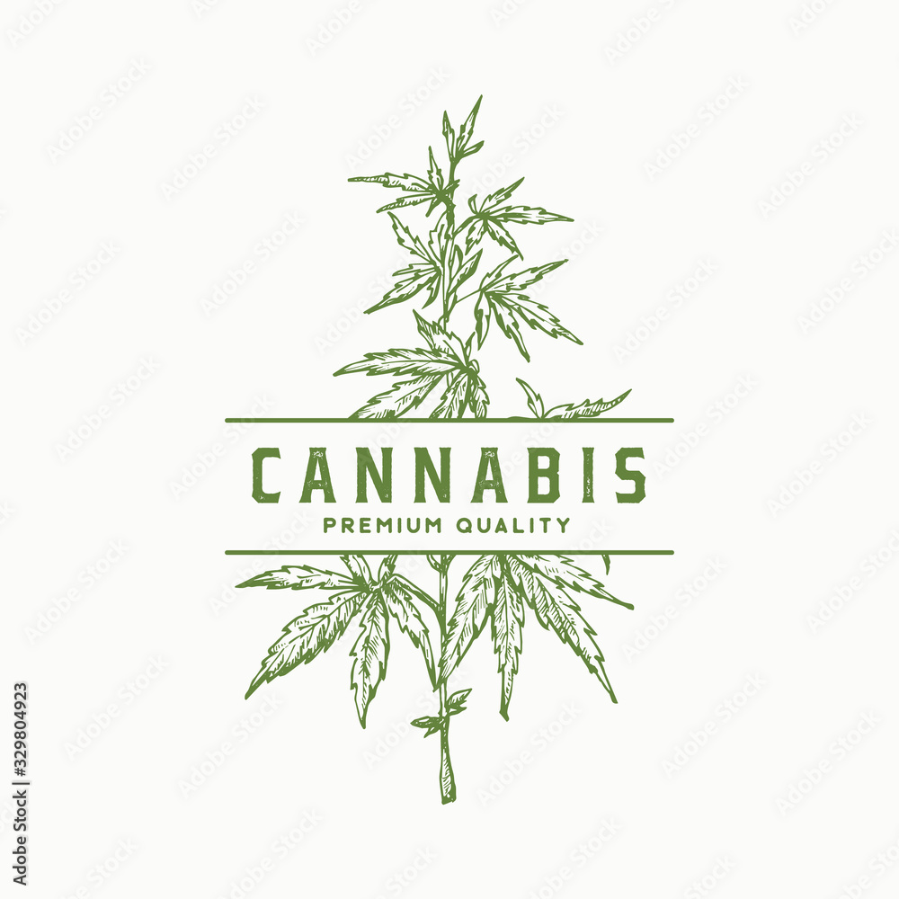 Premium Quality Cannabis Abstract Vector Sign, Symbol or Logo Template. Hand Drawn Green Hemp Branch with Leaves Sketch Sillhouette with Retro Typography. Vintage Luxury Medicine Herb Emblem.