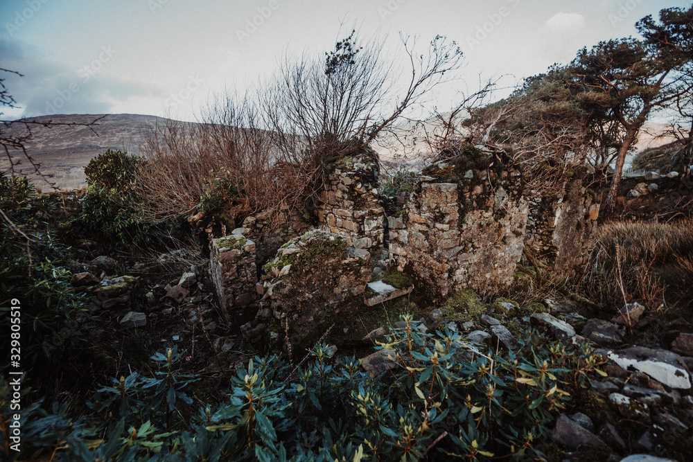 Irland | Altes verlassenes Steinhaus