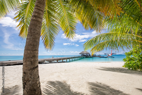 Fototapeta Naklejka Na Ścianę i Meble -  Tropical beach background with palm trees sunny scenery, wooden bridge at tropical beach in the Maldives at summer day