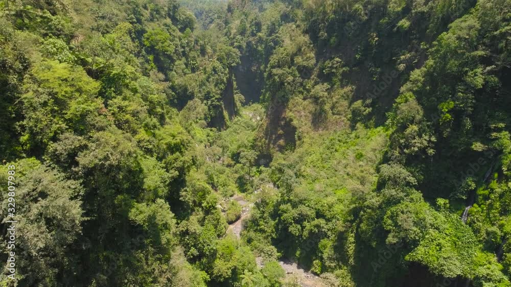mountain gorge with river and waterfall in jungle. aerial view waterfall rainforest in Java Indonesia. forest with green, lush vegetation. aerial footage