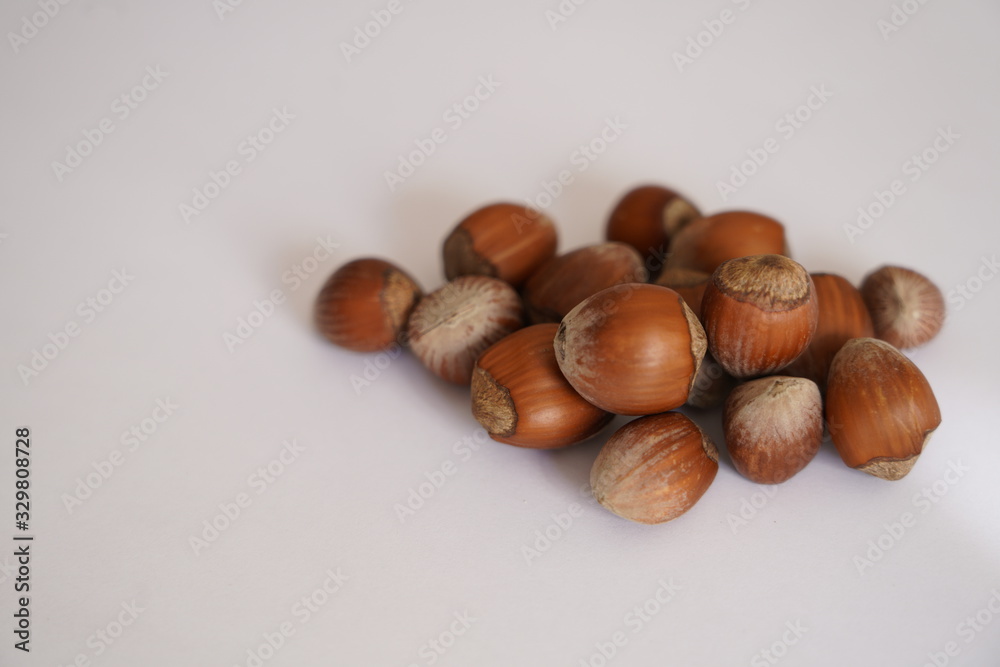 Hazelnut shell dried on white background