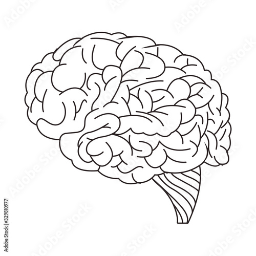 brain organ human isolated icon