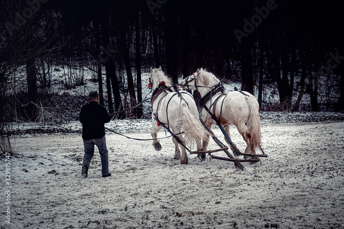 horse trener in winter landscape.