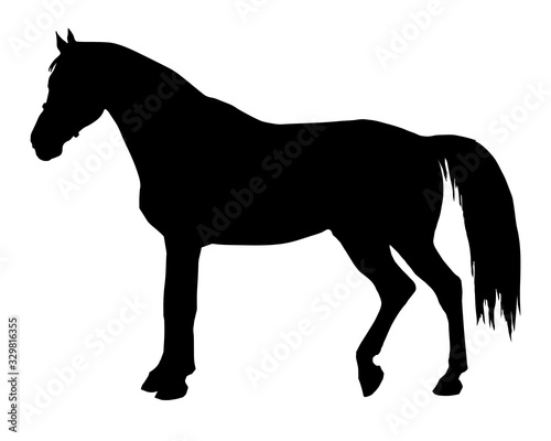 black silhouette of a standing German horse isolated on a white background