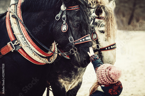 child stroking black work horse.