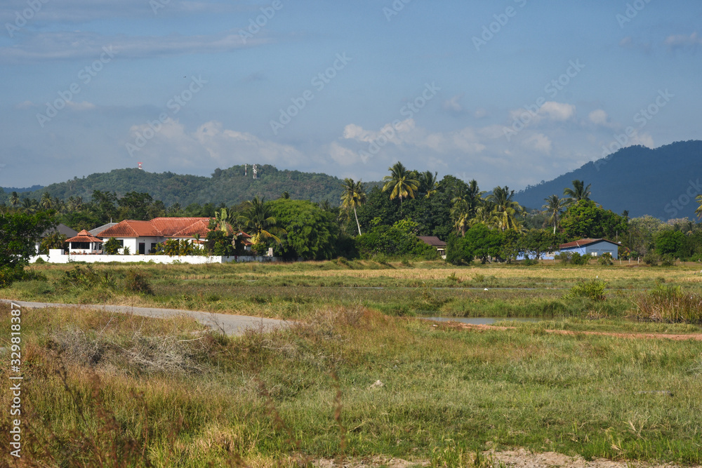 Langkawi Island countryside landscapes. Rural houses on Paddy rice Field. Andaman Sea, Malaysia Langkawi Island countryside landscapes. Rural houses on Paddy rice Field. Andaman Sea, Malaysia