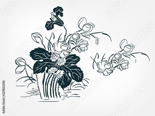Fototapeta Naklejka Na Ścianę i Meble -  water lily set collection japanese chinese oriental vector ink style design elements illustration