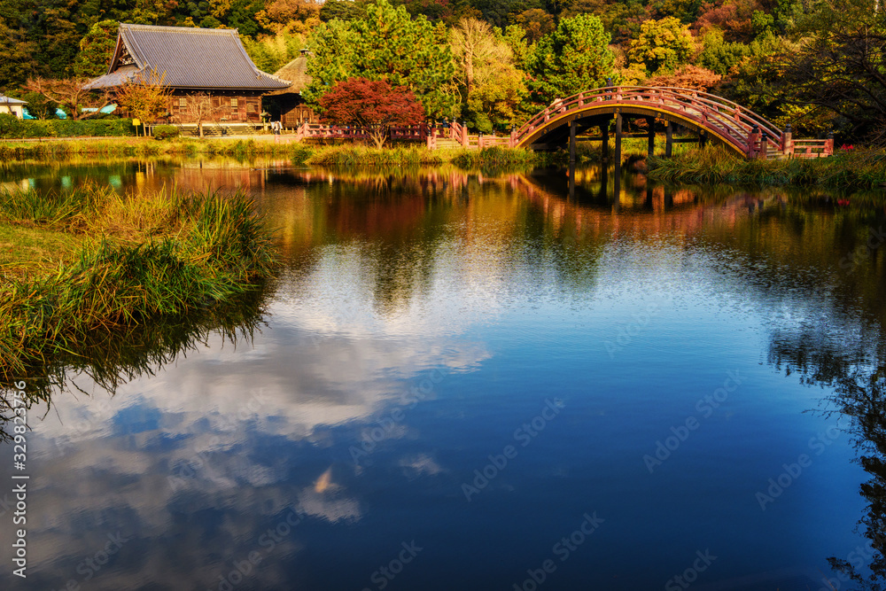 Fototapeta premium 称名寺の秋