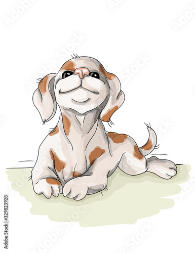 vector illustration spotted dog resting,sommer vacation nice photo