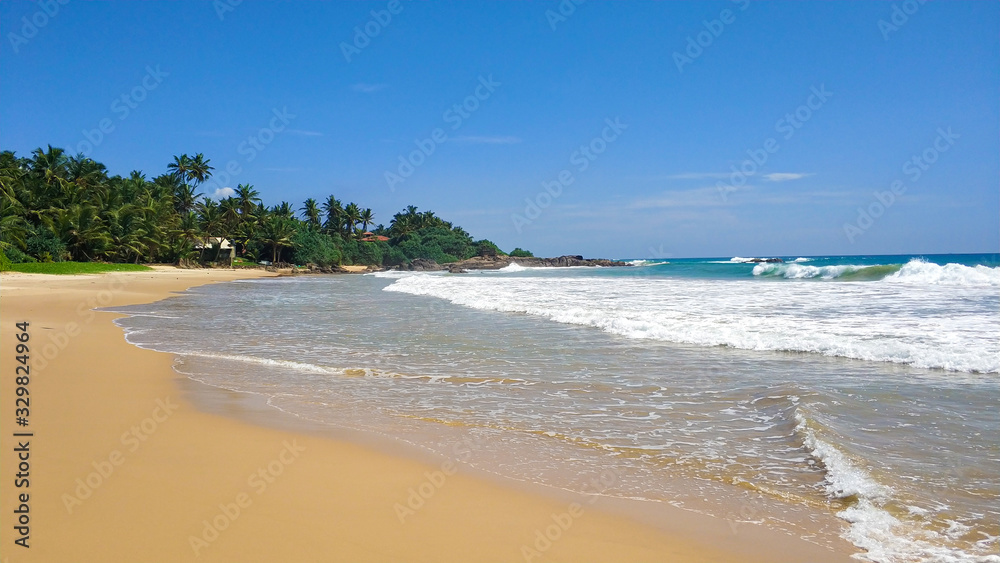 Sandy beach with palm trees by the ocean