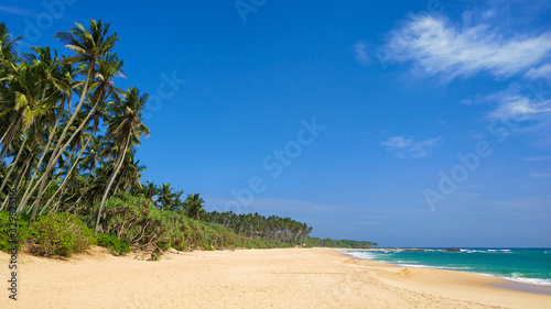 Sandy deserted paradise beach with palm trees on the ocean