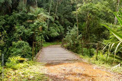 Itatiaia - Bridge over River - Path photo