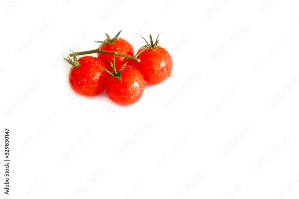 bunch of tomatoes with water droplets isolated on a white background bunch of tomatoes with water droplets isolated on a white background