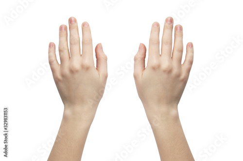 Female hands on a white background. Hands on a white background