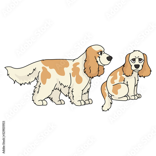 Cute cartoon cocker spaniel dog and puppy vector clipart. Pedigree kennel doggie breed for dog lovers. Purebred domestic pet parlor illustration mascot. Isolated canine English hunting breed. EPS 10. 