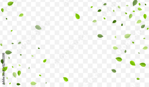 Green Greens Vector Concept. Swamp Leaves 