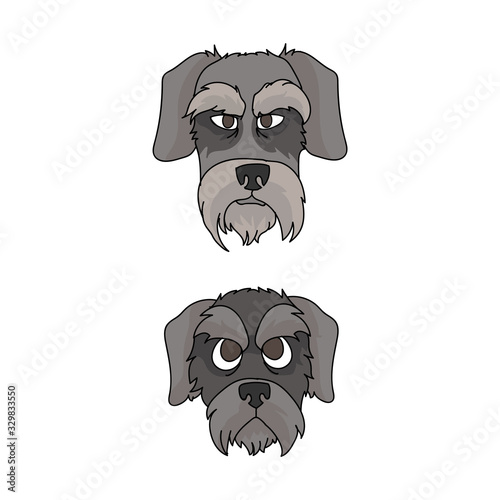 Cute cartoon schnauzer dog and puppy face vector clipart. Pedigree kennel doggie for dog lovers. Purebred domestic terrier for pet parlor illustration mascot. Isolated canine English hunting breed. 