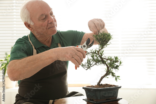 bonsai - Fotomural con creating y taking, lifestyle y small - Stica Vinilos  decorativos