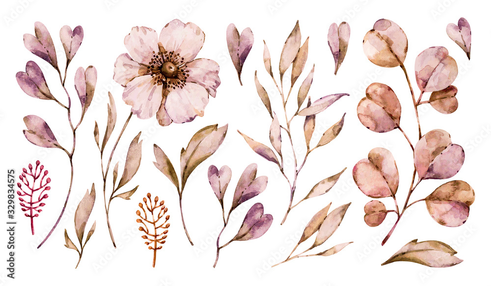 Obraz Flowers anemone and leaves handpainted set isolated on white background. Vector floral watercolor boho hand painted illustrations collection