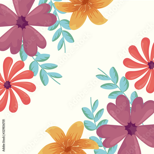 colorful and beautiful flowers over white background
