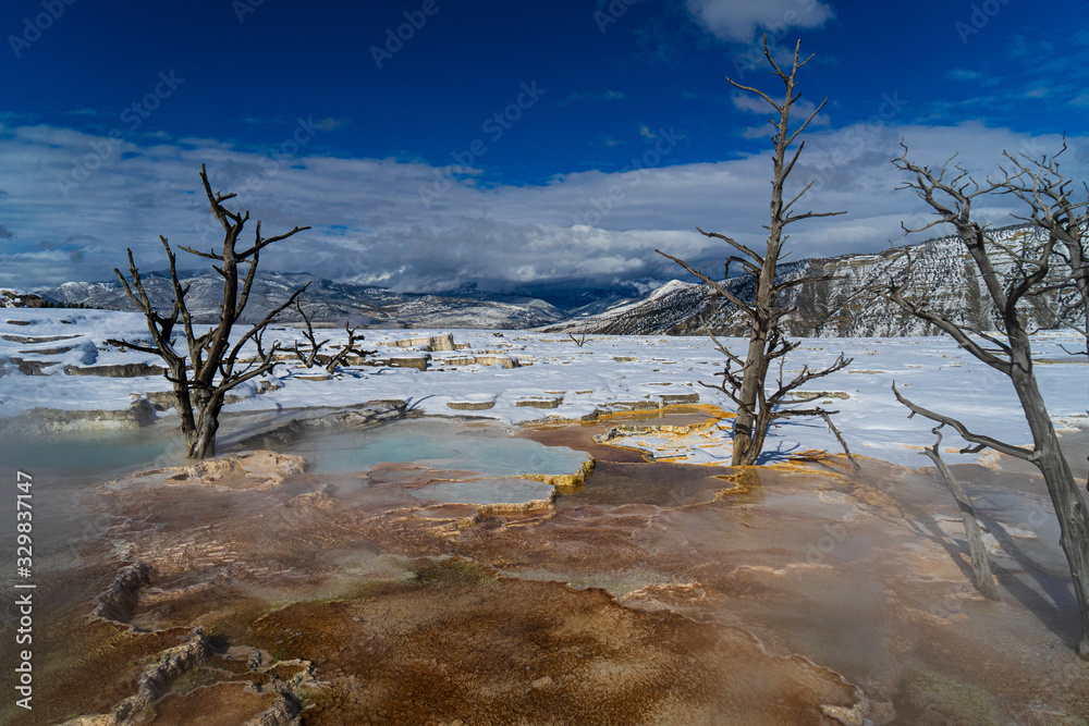 Hot springs with snow at yellowstone NP Hot springs with snow at yellowstone NP