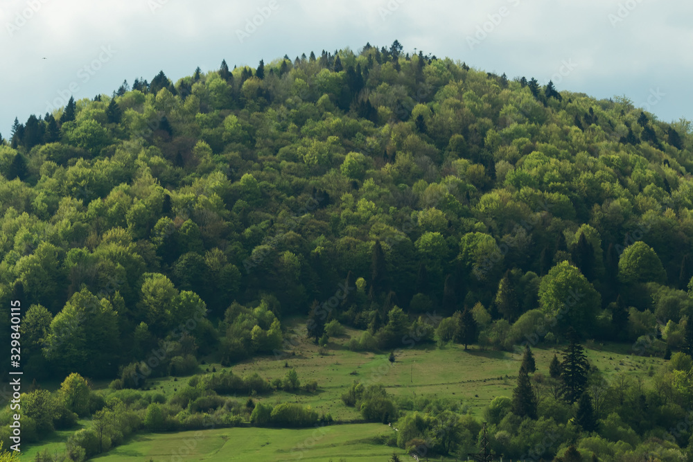Obraz premium the mountain is covered with forest at the foot of which is a me