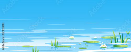 Fotografia Water surface with water lily and bulrush plants nature landscape illustration,
