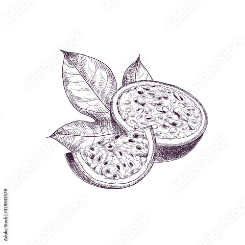 Hand drawn passion fruit. Set sketches with cut passion fruit and leaf. Vector illustration isolated on white background.