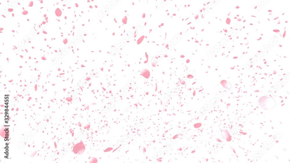 Cherry Blossoms, Pink Flower, Spring Season Background Cherry Blossoms, Pink Flower, Spring Season Background