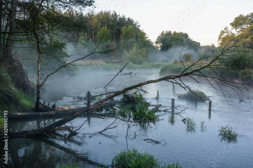 Radomka mglisty poranek photo