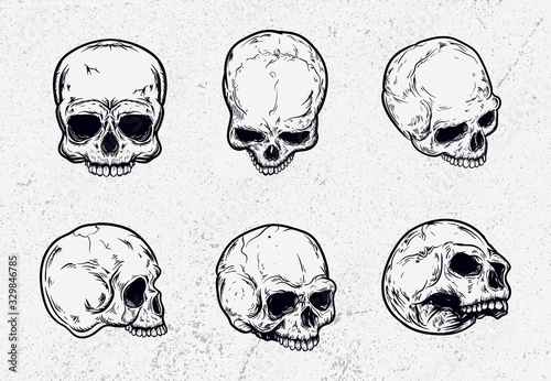 skull pack vector illustration