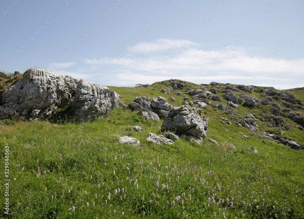 Mountain Top Meadows and Rocks