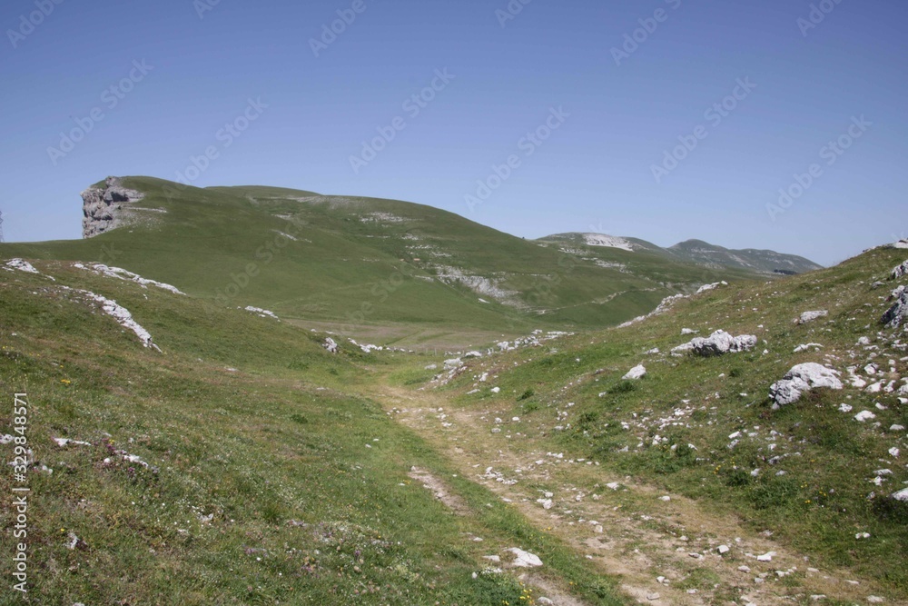Fototapeta premium Mountain Top Path and Meadows