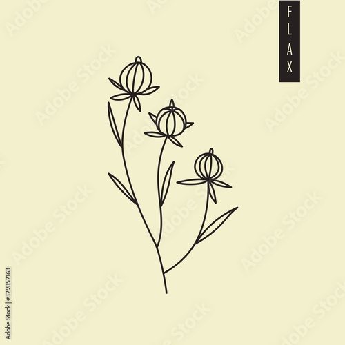 Vector illustration of cultivated dry flax plant with seeds in outline style isolated on green background. Flax seed drawing for emblem, logo, icon, print for medicine, textile and culinary sphere.
