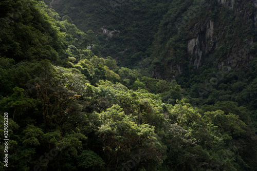 Jungle at Machu Picchu Incan citadel. Andes Mountains Peru. Urubamba River valley.