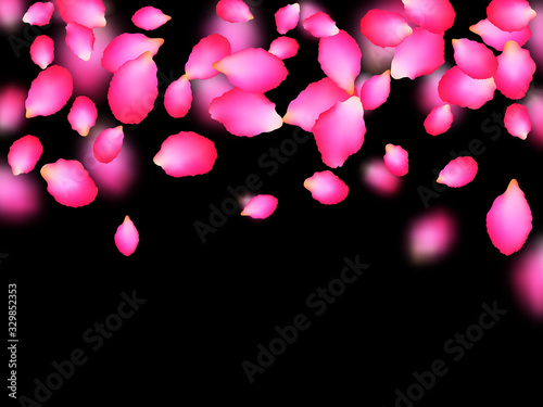 Rosy astonishing petals falling over black background. Japanese cherry spring tree blossom parts confetti. Flower petals vector illustration for inviration card. Seasonal wallpaper. photo