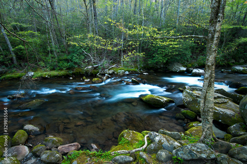 Early spring morning on the Middle Prong of the Little River, Smoky Mountains National Park, Tennessee.