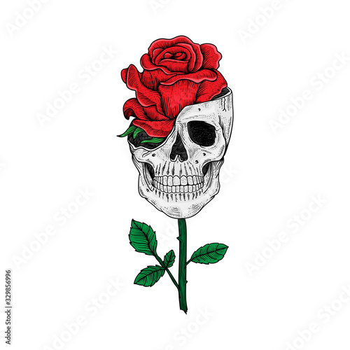 tattoo and t shirt design skull and rose hand drawn premium vector