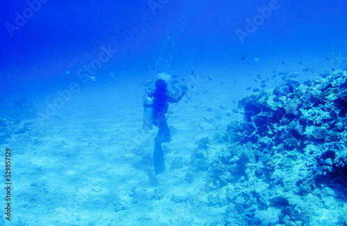 diver swimming underwater near coral reefs