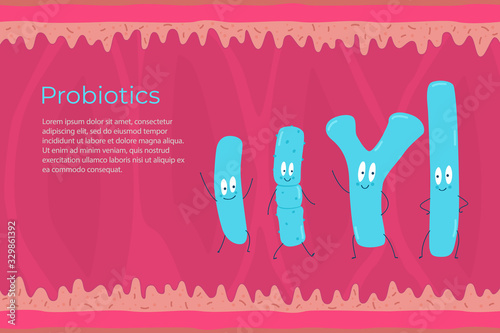 Types of probiotics on the background of the intestine. Vector illustration.