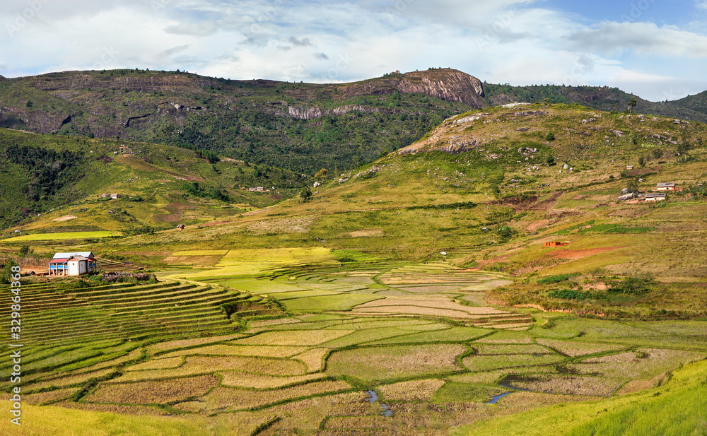 Typical Madagascar landscape - green and yellow rice terrace fields on small hills with clay houses in Andringitra region near Sendrisoa