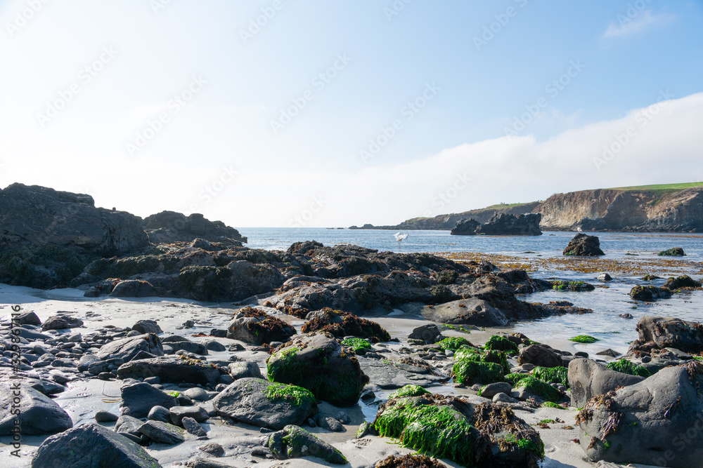 Carmel by the Sea