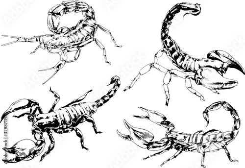 vector drawings sketches different insects bugs Scorpions spiders drawn in ink by hand   objects with no background
