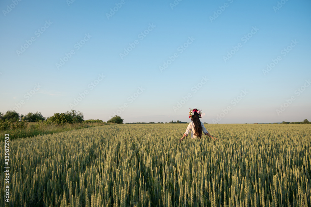 Pretty young woman wear traditional Ukrainian clothes and flower wreath walk in wheat field, beautiful ethnic girl in handmade decorated floral crown admire nature, blue sky background