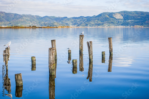 Torre del Lago, Viareggio, Lucca, Tuscany: view of Massaciuccoli lake and reflections of birds balanced on the dock photo