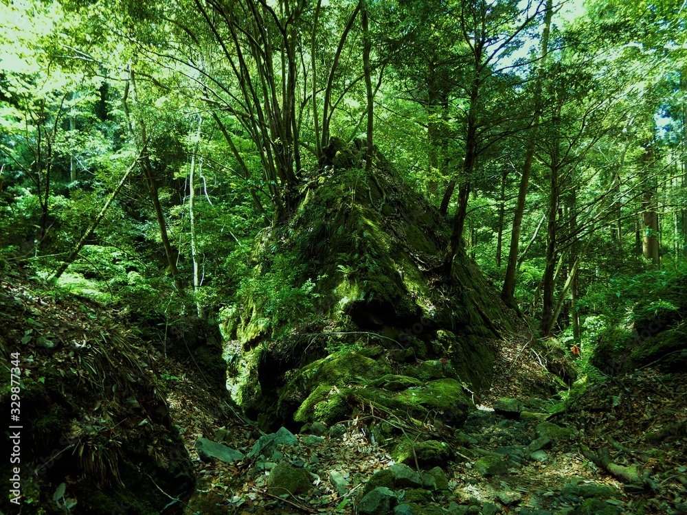 Obraz premium 山中の岩