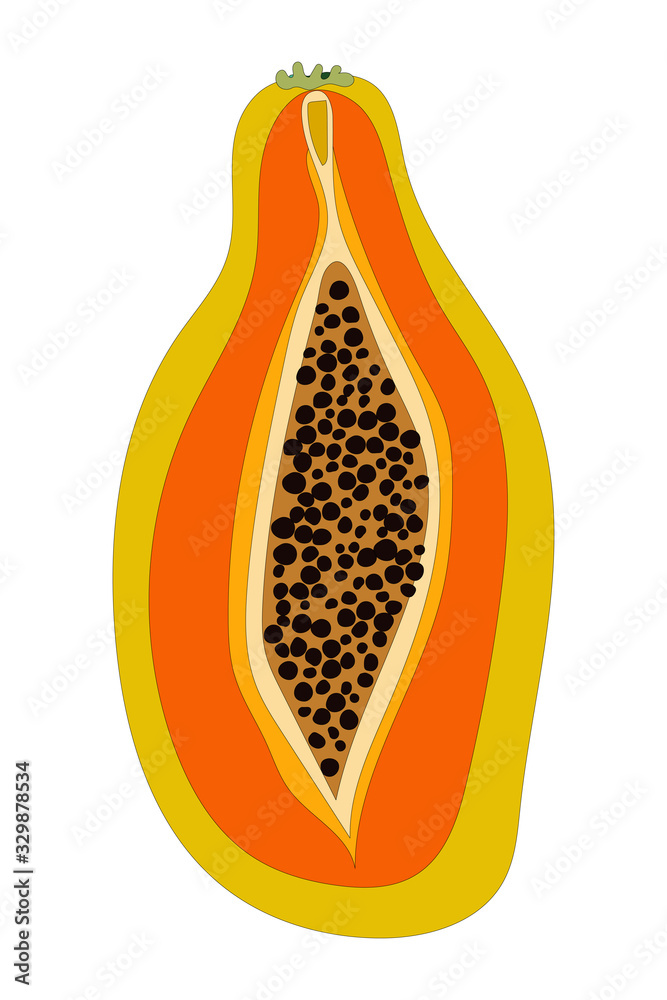 Half of papaya icon isolated on white background. Flat vector illustration of half papaya - icon for web design. Half of papaya icon isolated on white background. Flat vector illustration of half papaya - icon for web design.