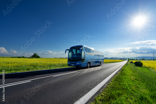 Fototapeta Blue bus driving on the asphalt road between the yellow flowering rapeseed field