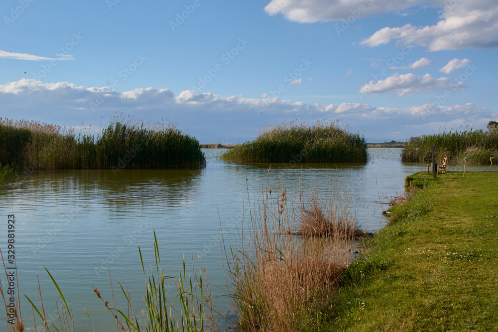 Lake on a bright and hot summer day